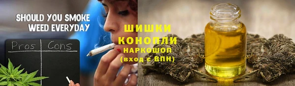 прущие грибы Новозыбков