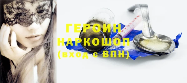 прущие грибы Новозыбков