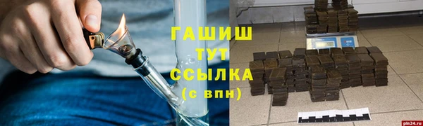 прущие грибы Новозыбков