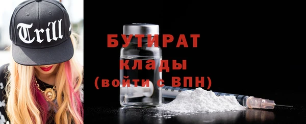 прущие грибы Новозыбков