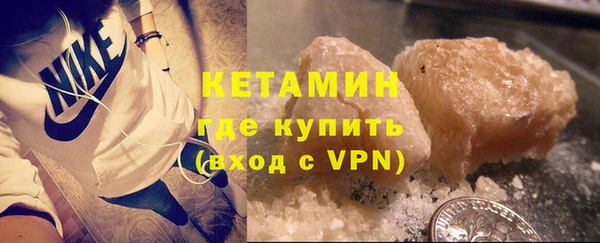 прущие грибы Новозыбков