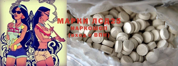 прущие грибы Новозыбков