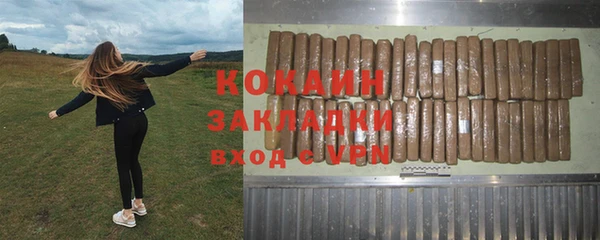 прущие грибы Новозыбков