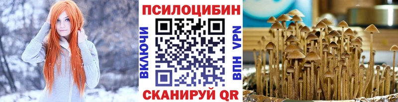 kraken сайт  Сарапул  Псилоцибиновые грибы Psilocybine cubensis  хочу наркоту 