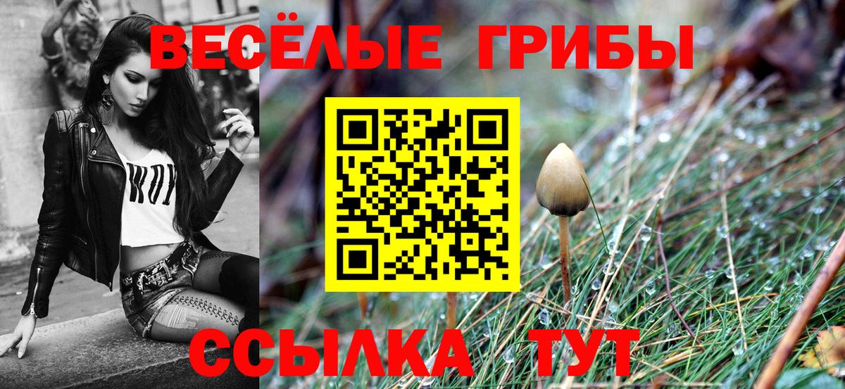 Псилоцибиновые грибы Psilocybe  Сарапул 